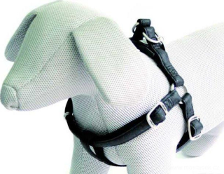 Černý postroj pro psa Vanity 20mm