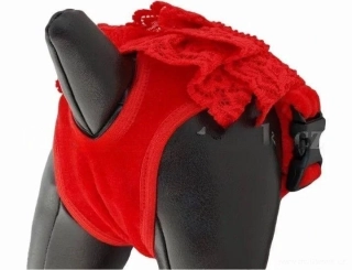 Kalhotky pro hárající fenky 30-38cm