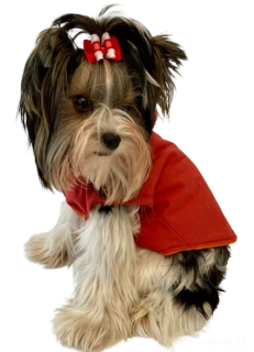 Vesta pro psa podšitá 30cm červená