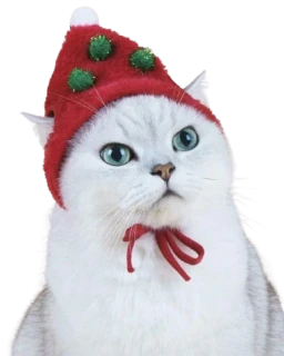 Vánoční čepička pro kočky a psy vel. S
