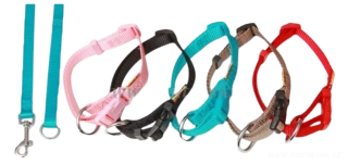 Obojek pro psy nylon 15mm tyrkysová