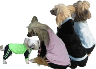 Tepláková kombinéza pro psa 18-23cm